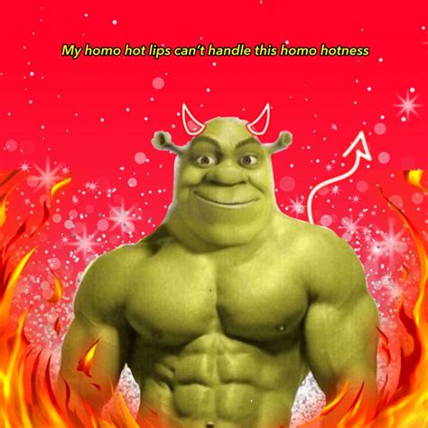 funny memes of shrek|hot shrek meme.